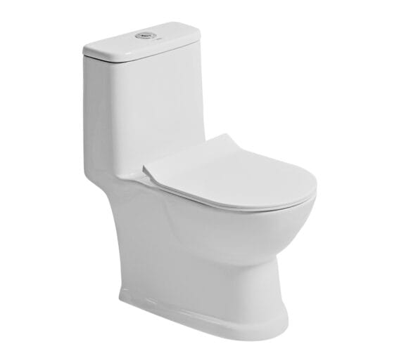 Hindware Ace Washdown